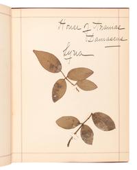 [SPECIMEN ALBUMS]. A group of 3 specimen albums with samples collected from The Holy Land, Greece and Southern Italy Great Britain, Denmark, Switzerland, Germany and France; and Egypt and Palestine. Ca 1890s.