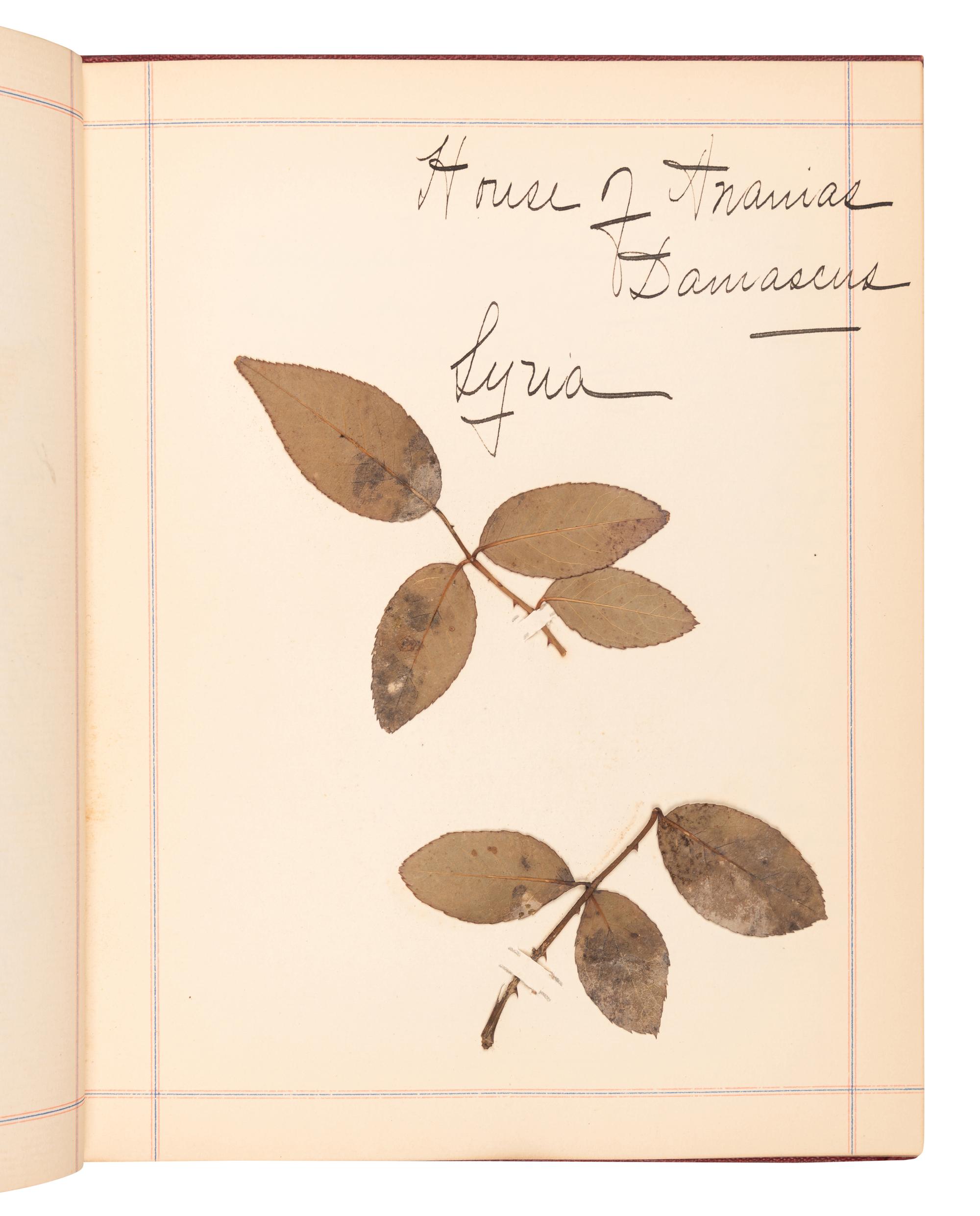 [SPECIMEN ALBUMS]. A group of 3 specimen albums with samples collected from The Holy Land, Greece and Southern Italy Great Britain, Denmark, Switzerland, Germany and France; and Egypt and Palestine. Ca 1890s.