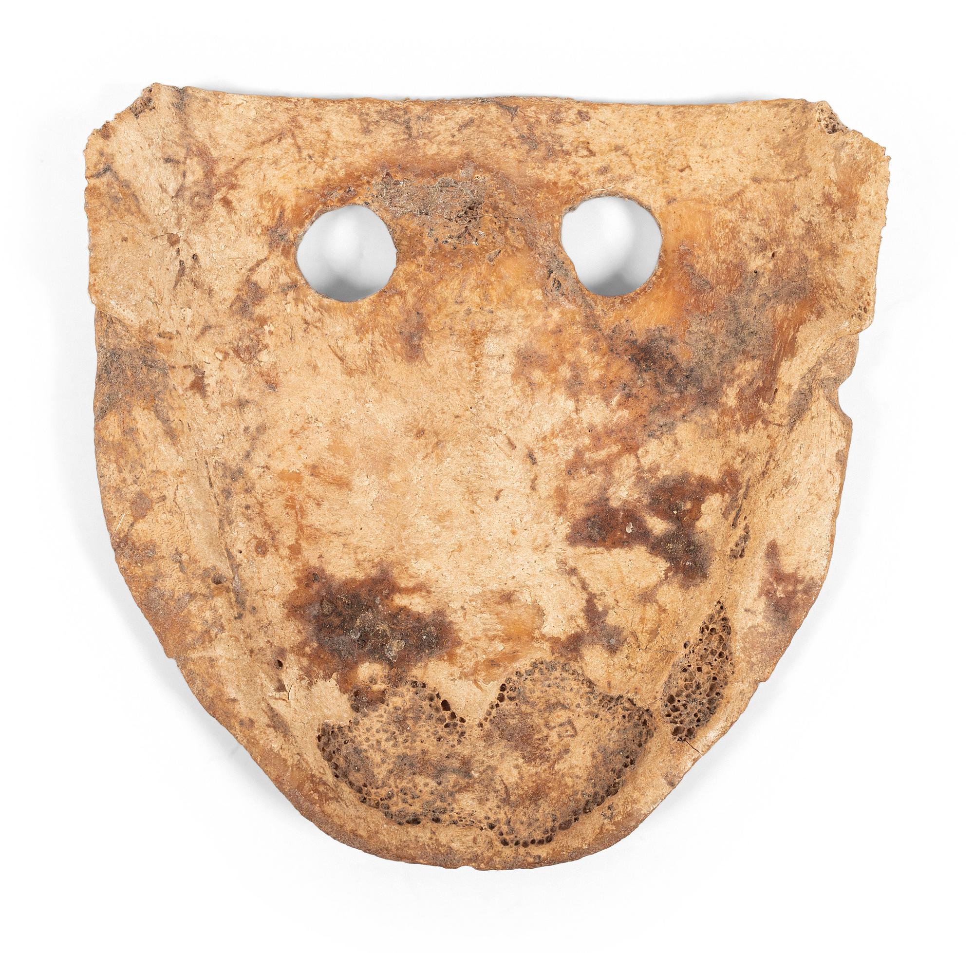 A Turtle Shell Gorget