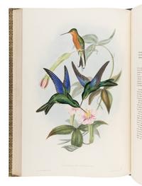 GOULD, John (1804-1881). A Monograph of the Trochilidae, or Family of Humming-Birds . London: Taylor and Francis for the Author, [1849]-1861.