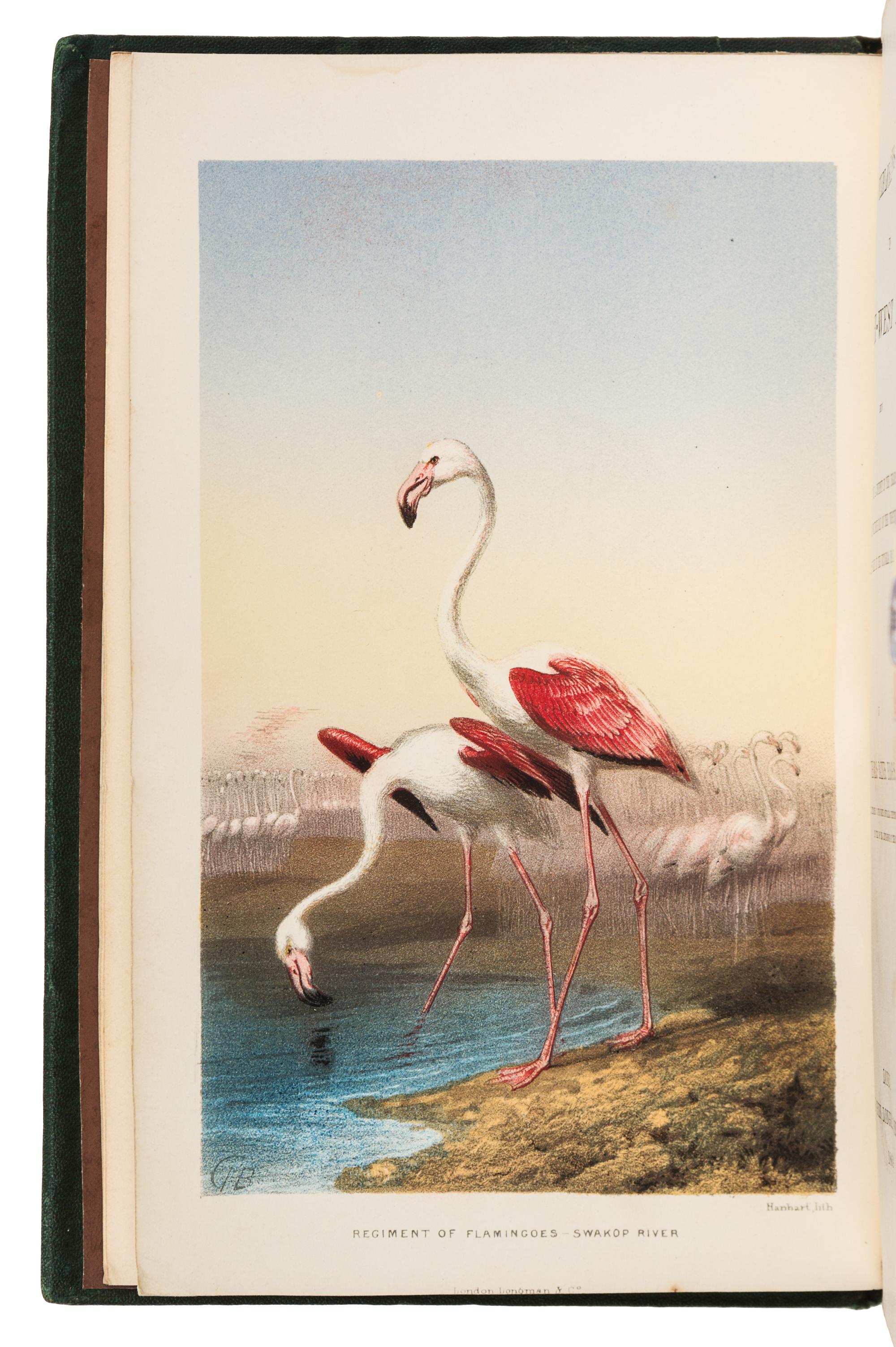 BAINES, Thomas (1822-1875). Explorations in South-West Africa. London, 1864. FIRST EDITION.