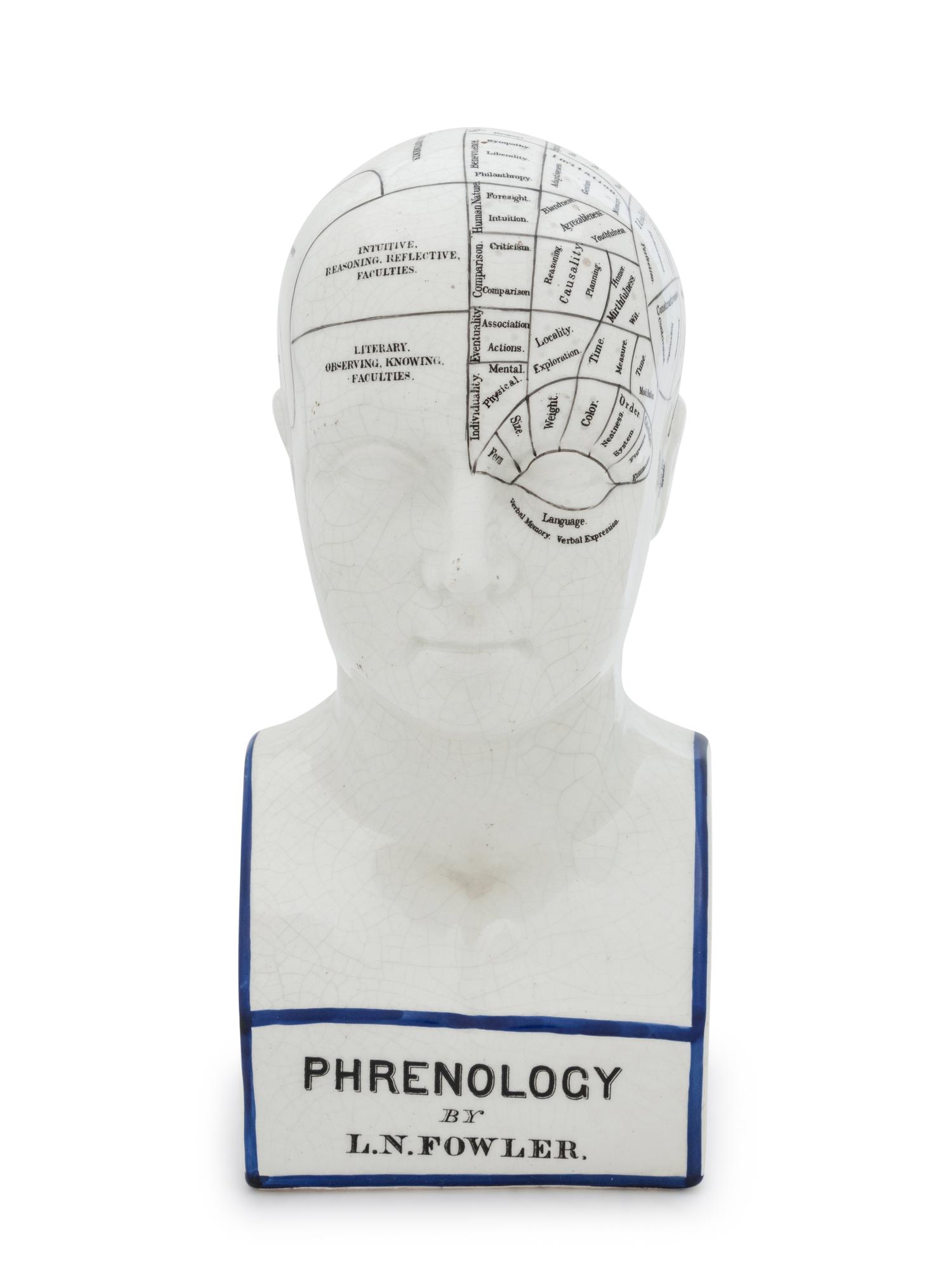 A Painted Ceramic Phrenology Bust