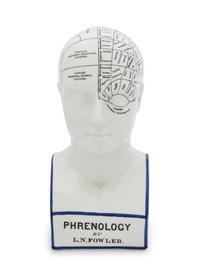 A Painted Ceramic Phrenology Bust