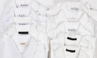 Ten Designer Dress Shirts: One Celine, Four The Row, and Five Loro Piana