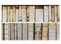 Two Photographic Panels of Vellum-Bound Books