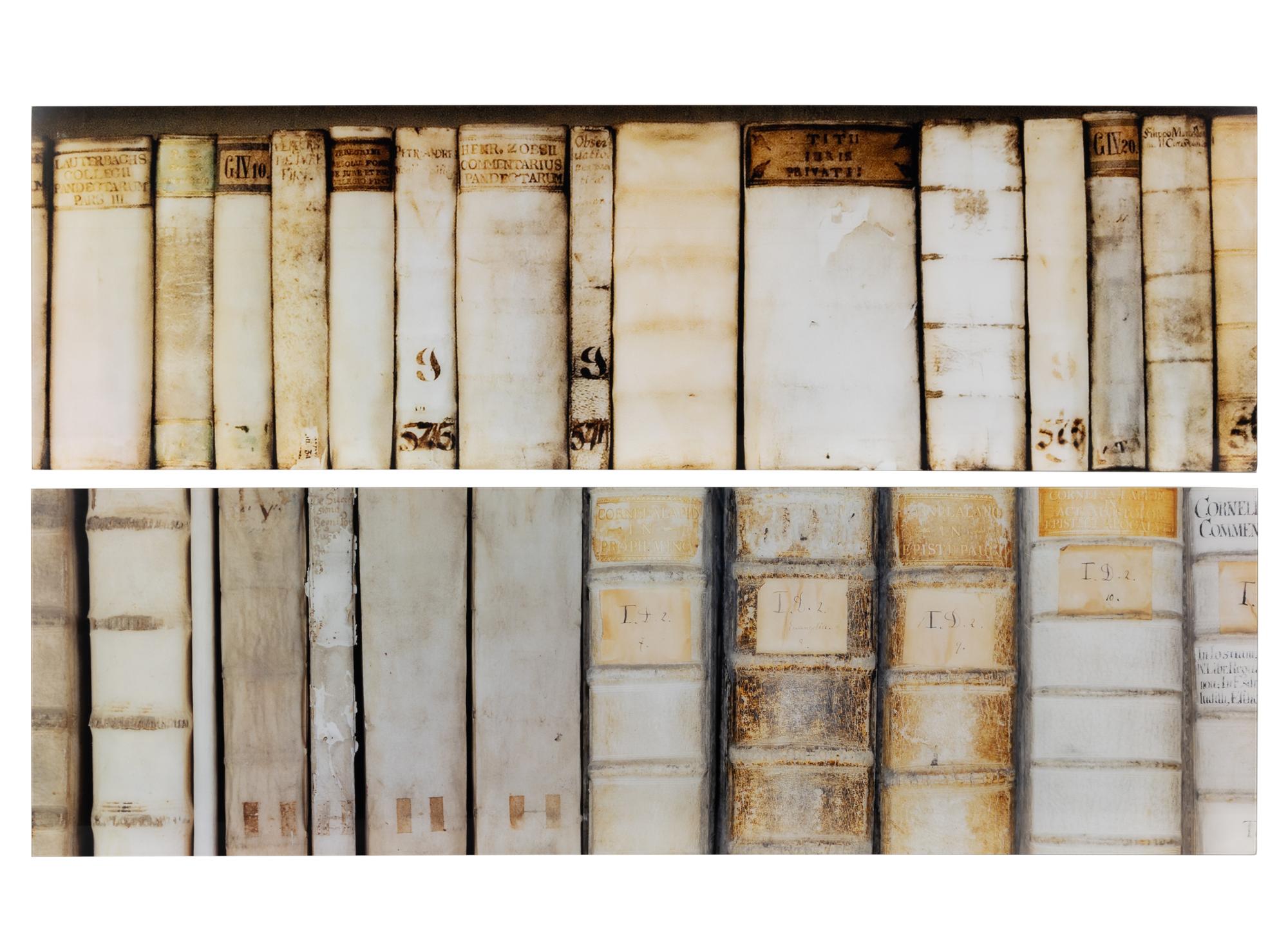 Two Photographic Panels of Vellum-Bound Books