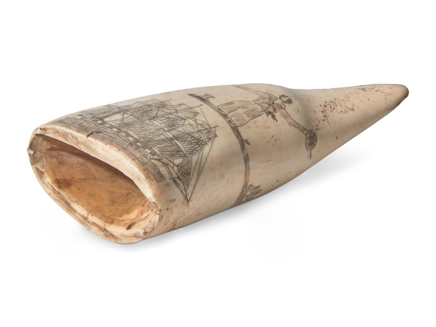 A Scrimshaw Whale Tooth