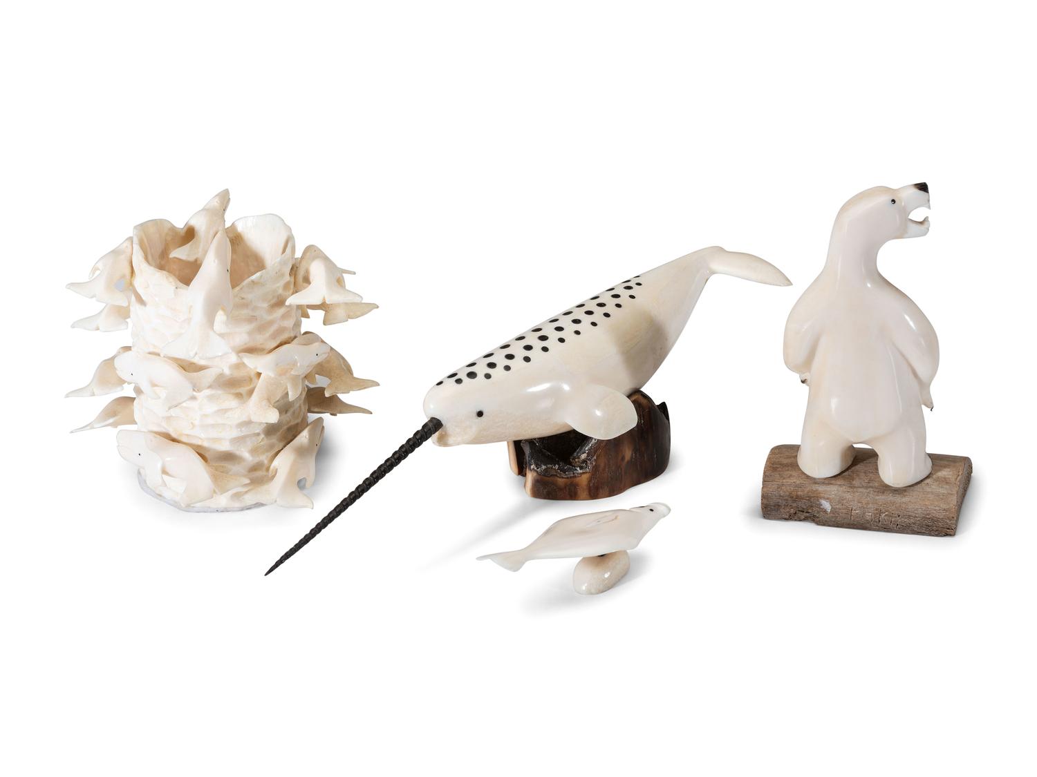 Collection of Arctic Sea Life