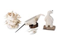 Collection of Arctic Sea Life