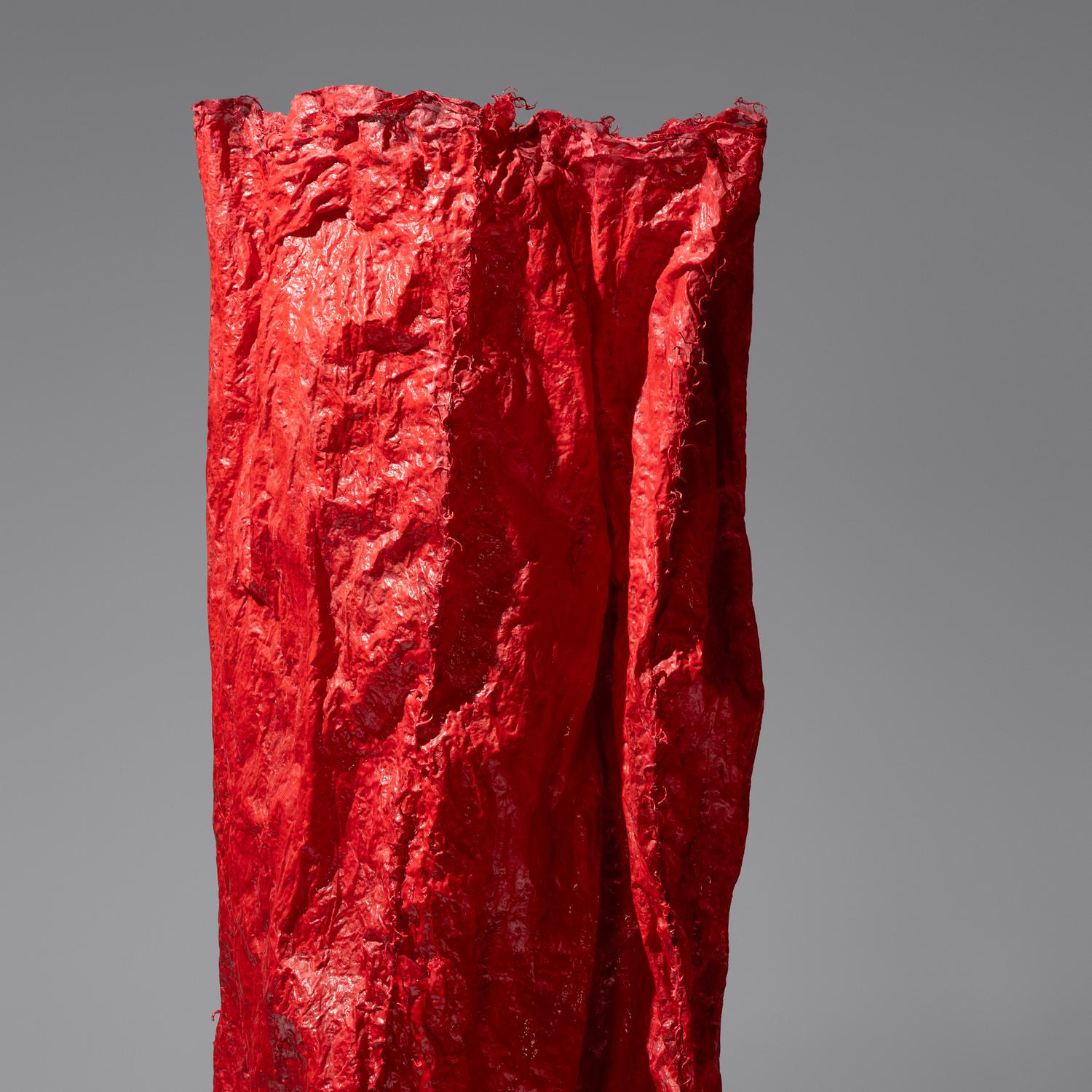 Red Aperture, 2009