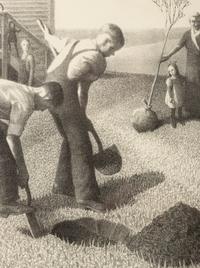 Tree Planting Group