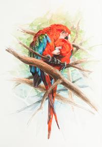 Play of Colors , 2001