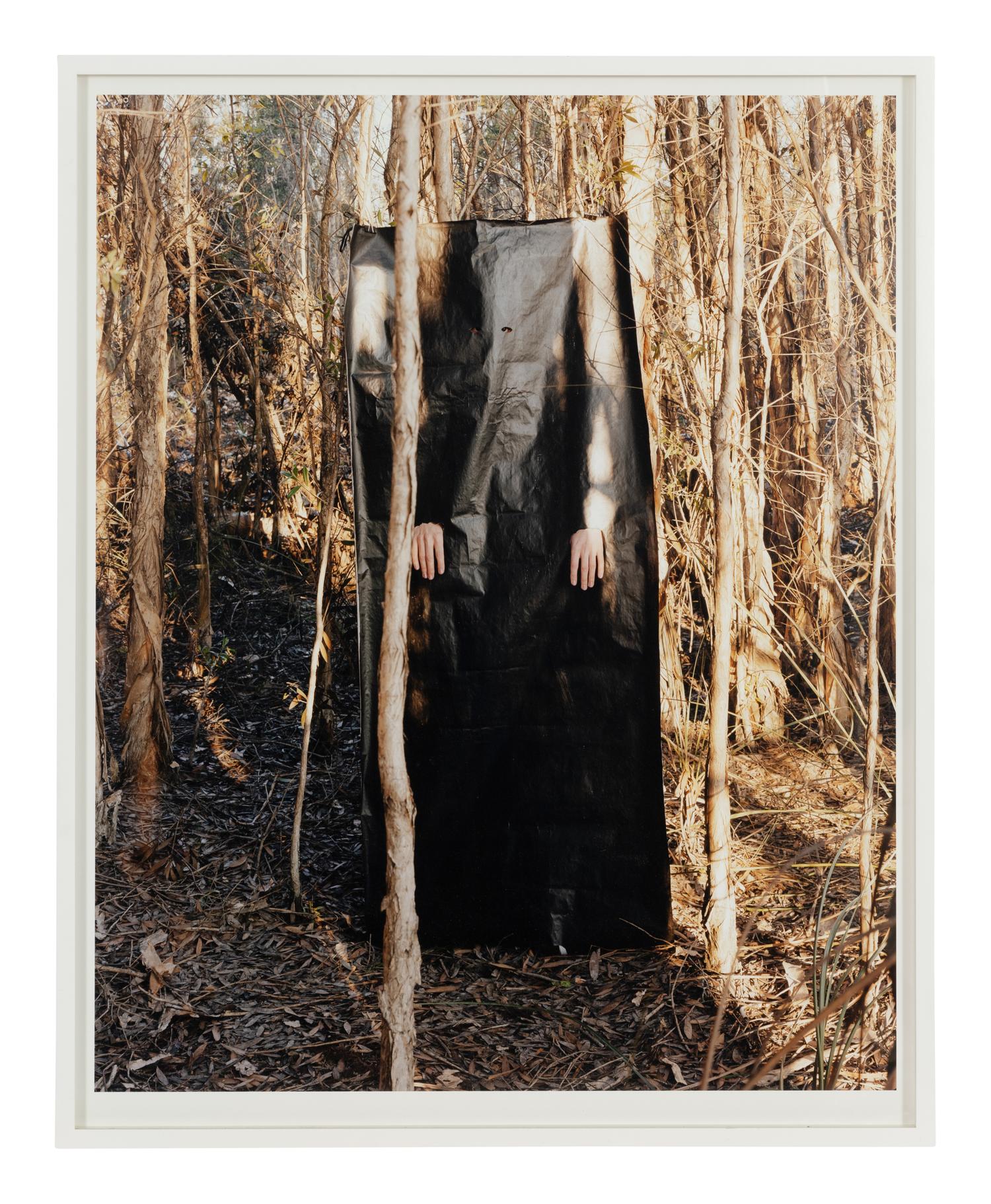 Untitled II (Everglades), A Triptych, 2003