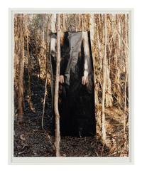 Untitled II (Everglades), A Triptych, 2003