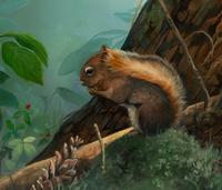 Red Squirrel , 2006