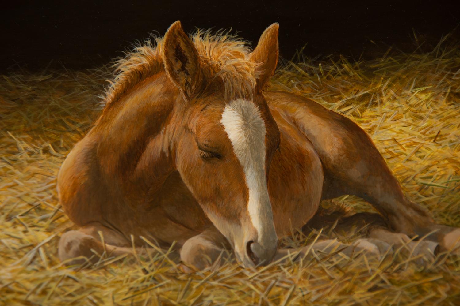 Sleepy Head, 2013