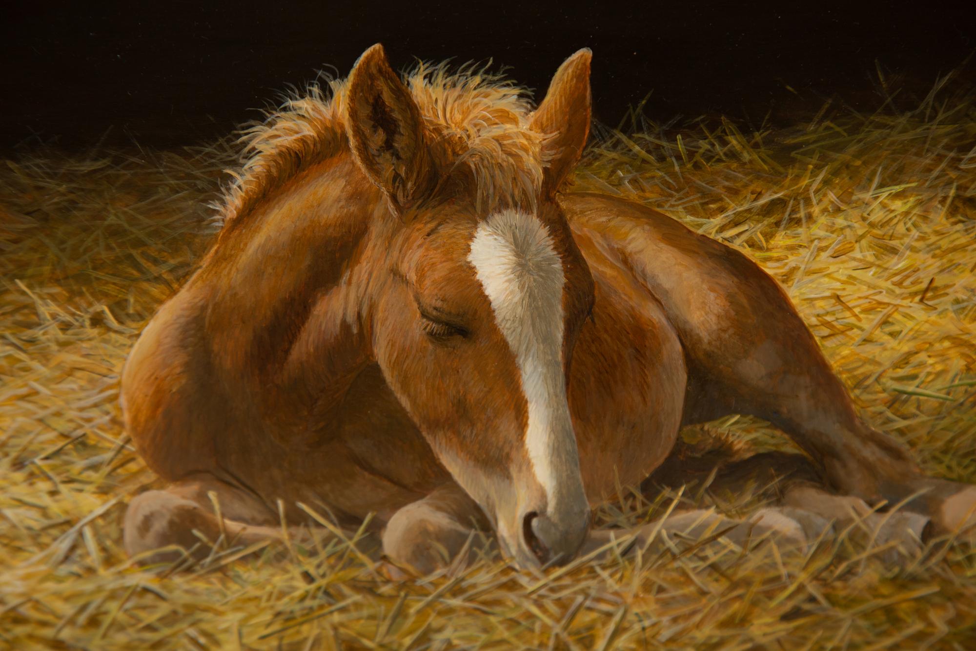 Sleepy Head, 2013