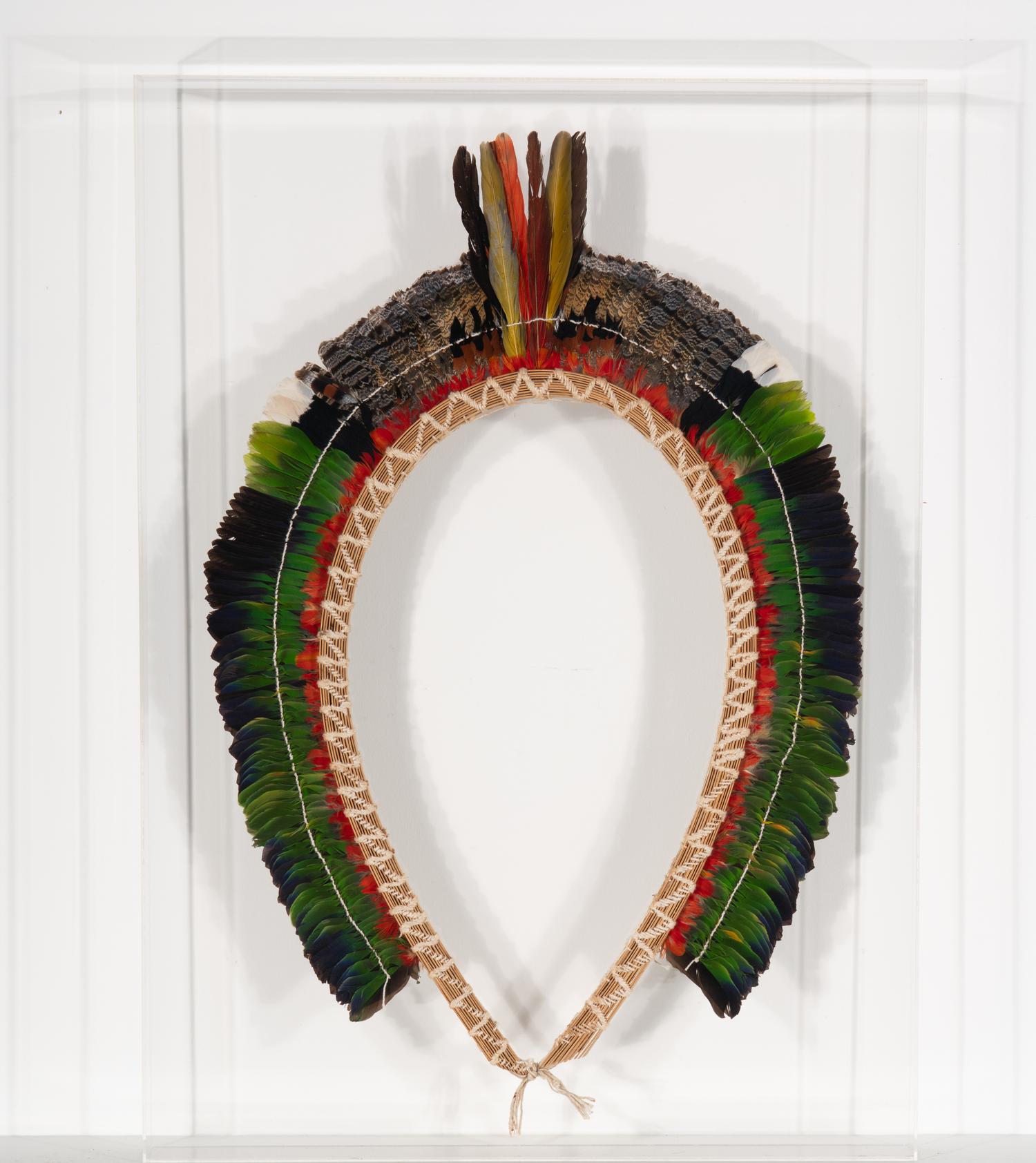 An Amazon-Style Headdress