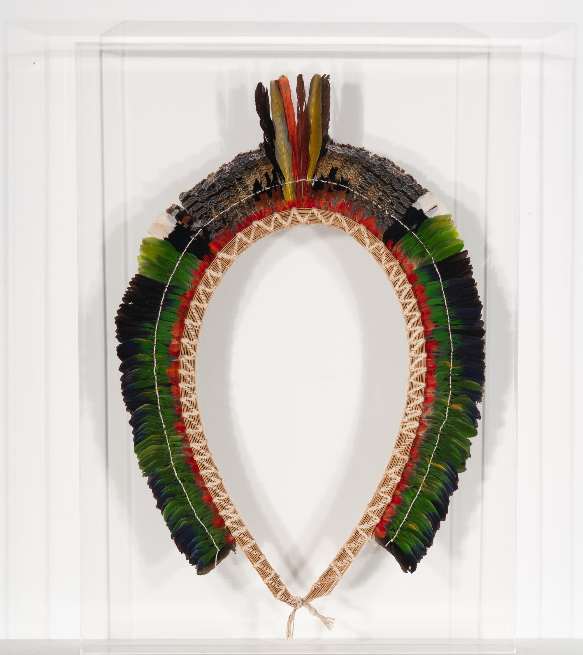 An Amazon-Style Headdress