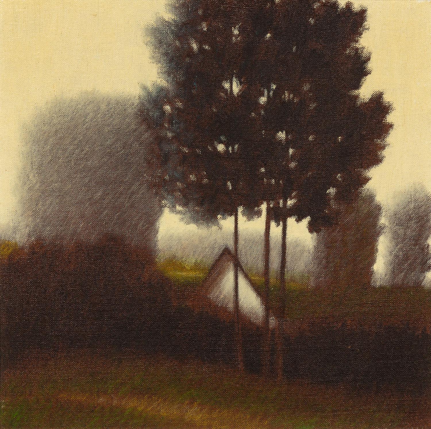 Shady Landscape