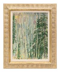 Aspens, Twinning Canyon