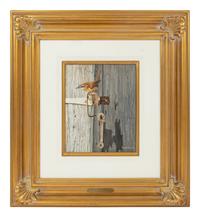 Garden Shed Wren , 2004