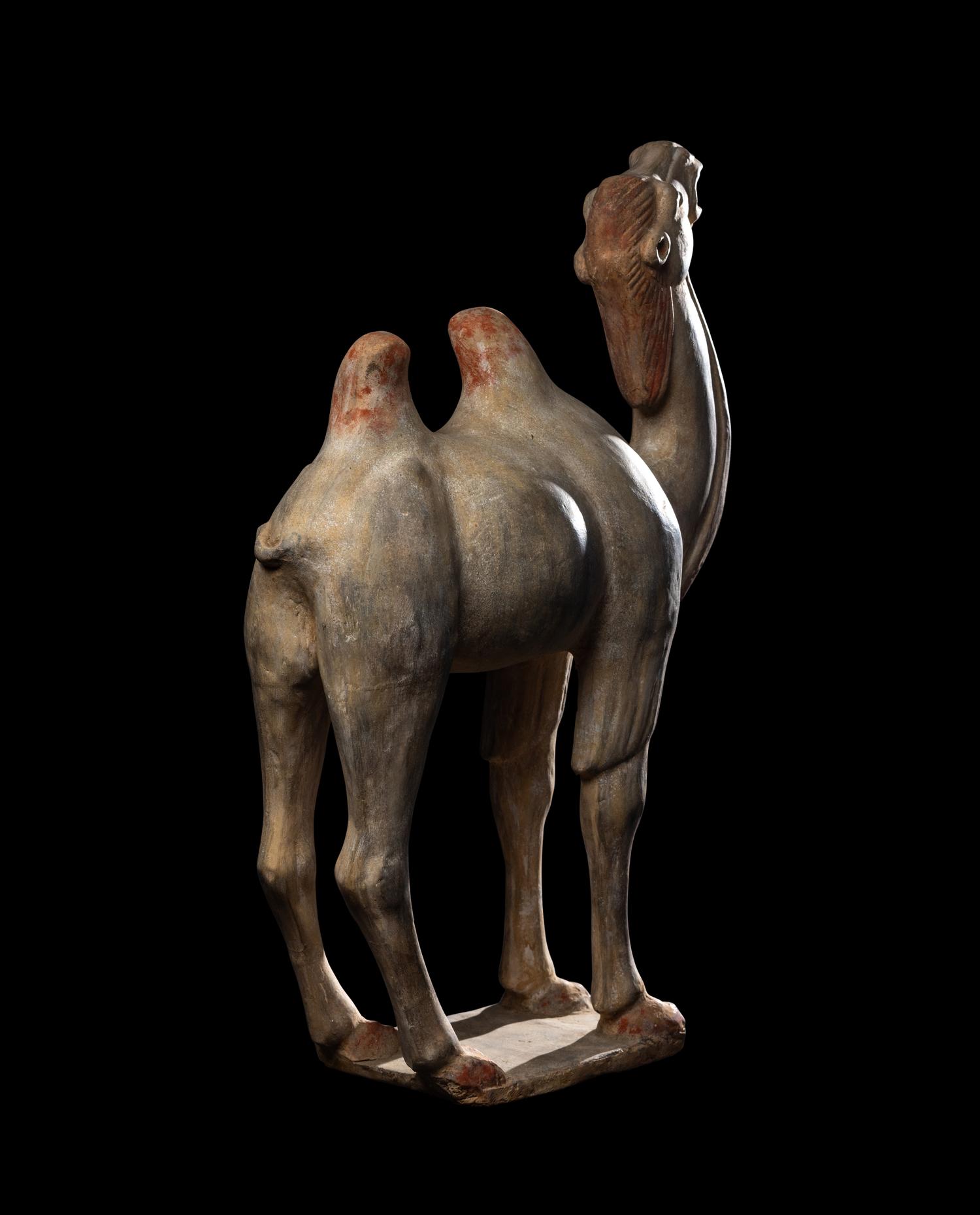 A Chinese Painted Pottery Figure of a Camel