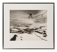 A group of six photographs from the Natural History series