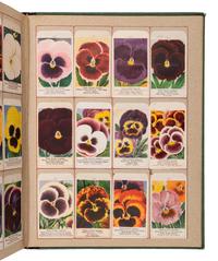 [SALESMAN'S CATALOGUE]. Seed sample catalogue. Germany, ca 1900.