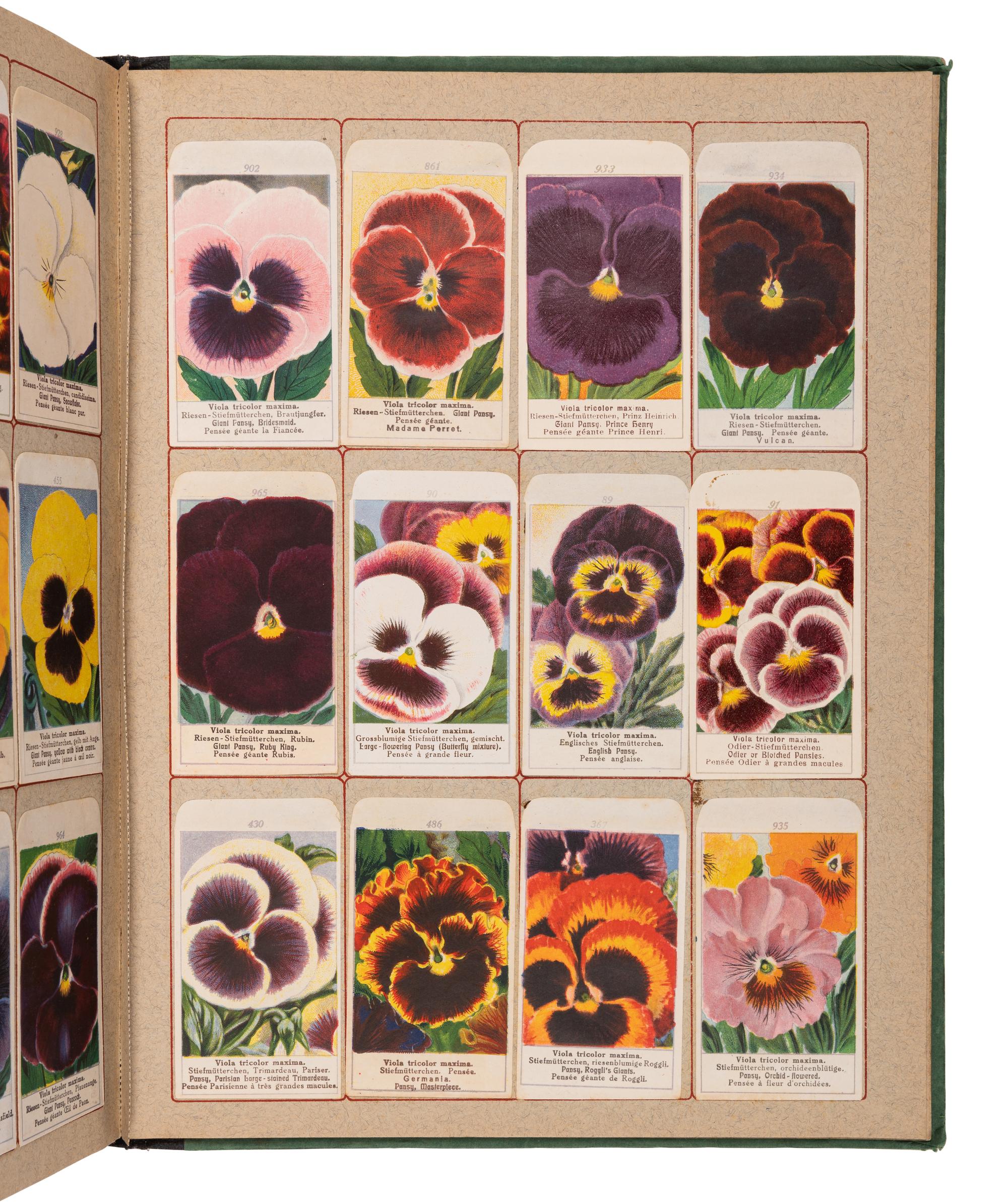 [SALESMAN'S CATALOGUE]. Seed sample catalogue. Germany, ca 1900.