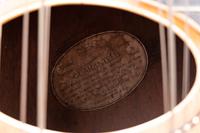 A Gibson Harp Guitar