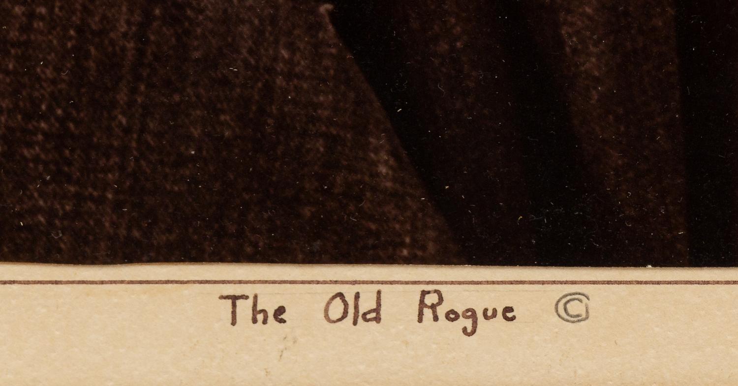 The Old Rogue
