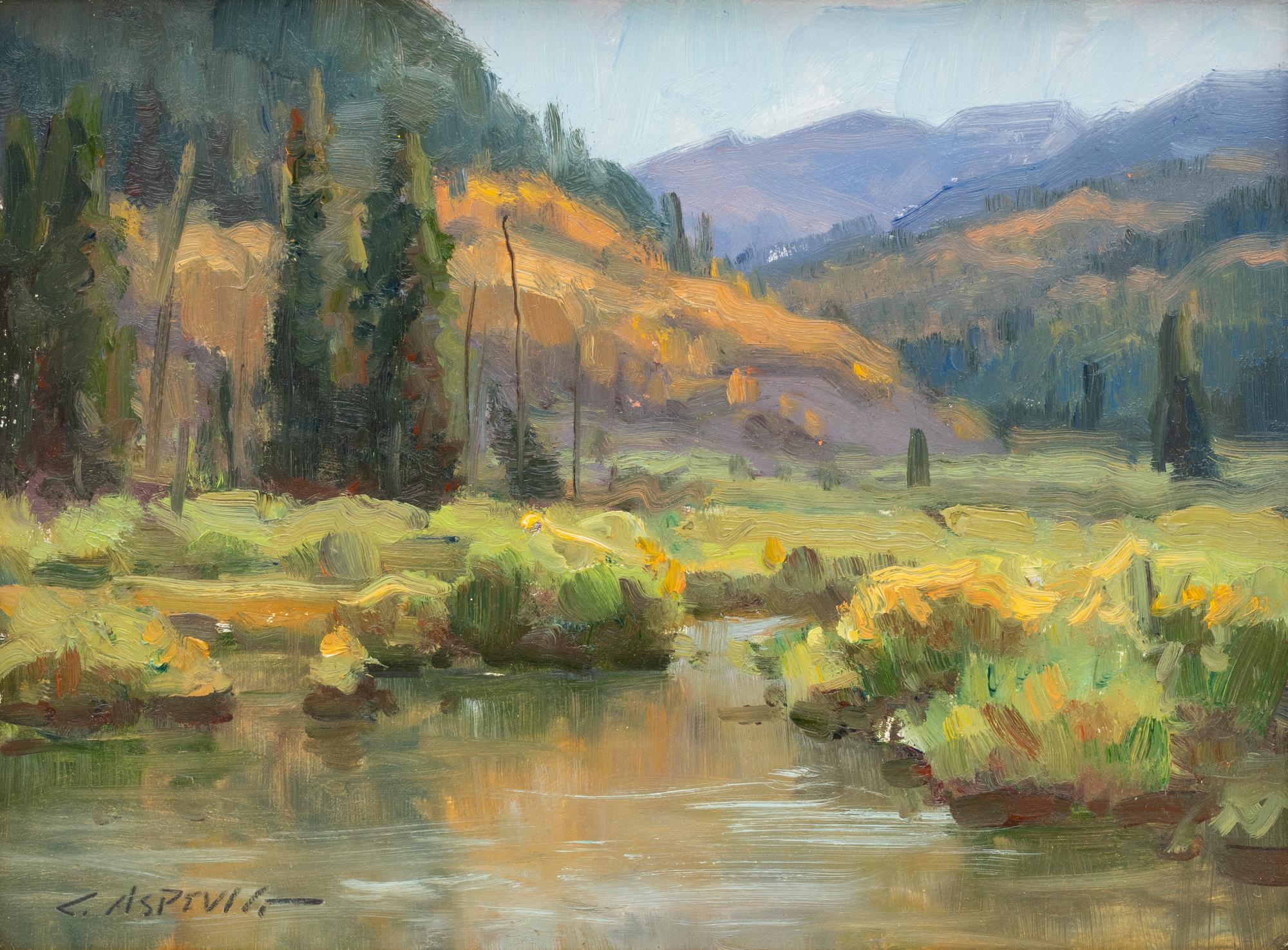 Mountain Stream