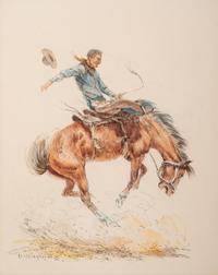 Bucking Bronco