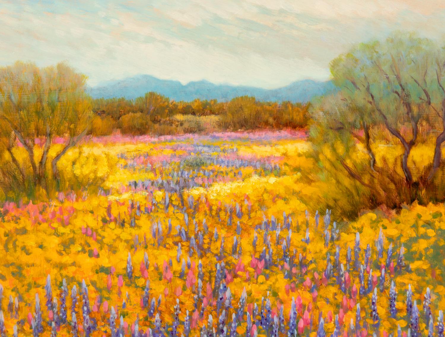 Desert Palette , 2001