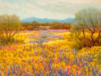 Desert Palette , 2001