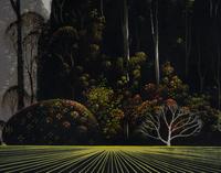 Eucalyptus