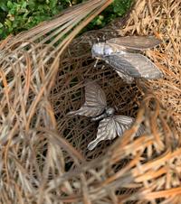 Two Silver Articulated Models of Insects
