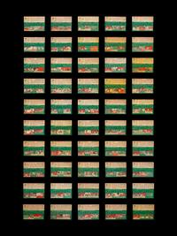 A Near Set of 1954 Topps Baseball Cards (245/250)
