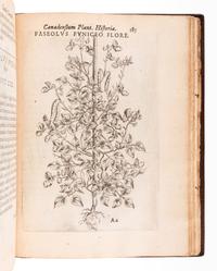 CORNUT, Jacques Philippe (1606-1651). Canadensium plantarum, aliarúnque nondum editarum historia cui adiectum est ad calcem enchiridion botanicum parisiense . Paris: Simon le Moyne, 1635.