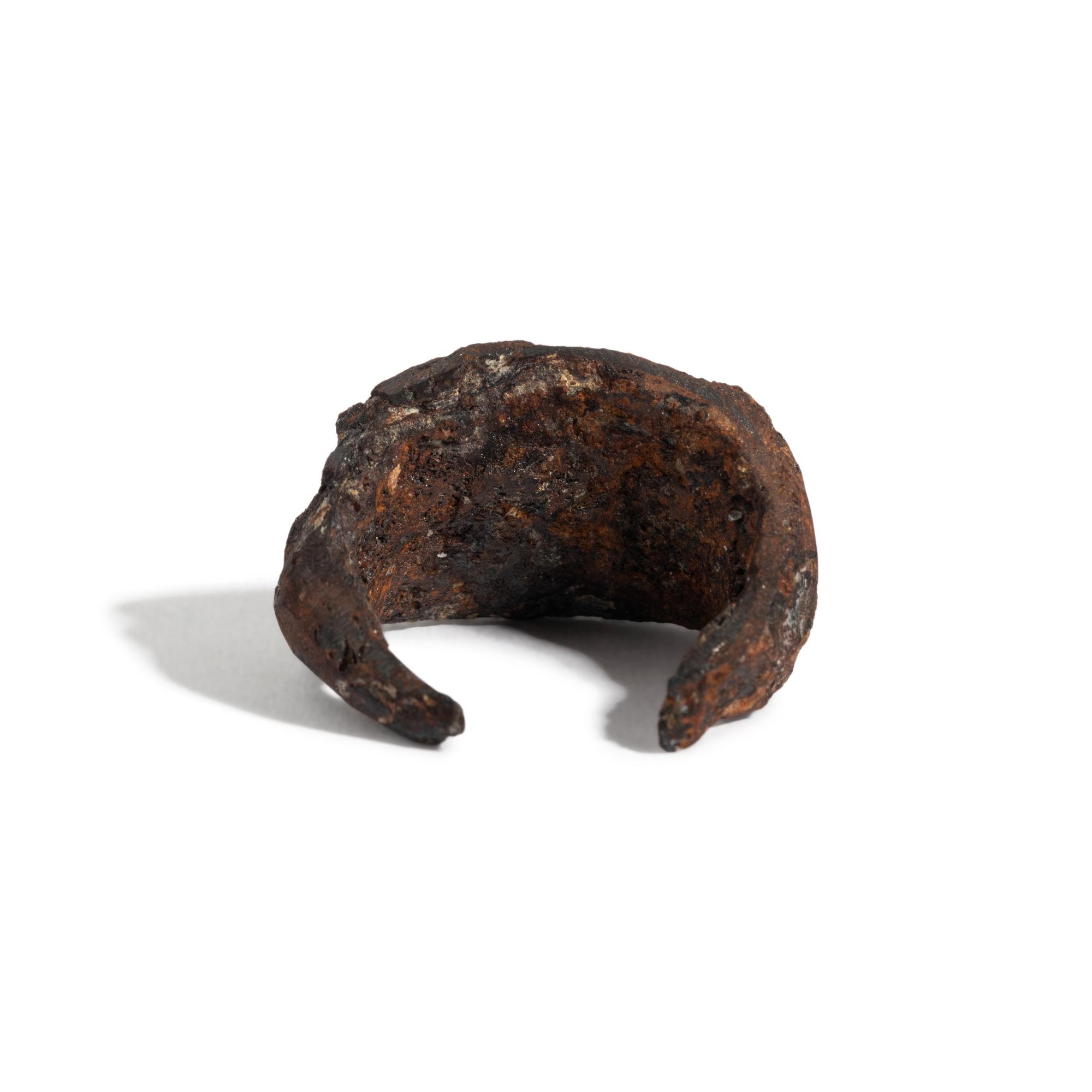 A Roman Iron and Red Jasper Finger Ring with a Gryllos (Composite Figure)