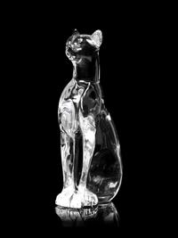 A Baccarat Cheetah