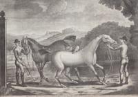 James SEYMOUR, after - Thomas BURFORD, engraver Image 10 1/4 x 14 1/4 inches. — The Setting Dog and Partridges