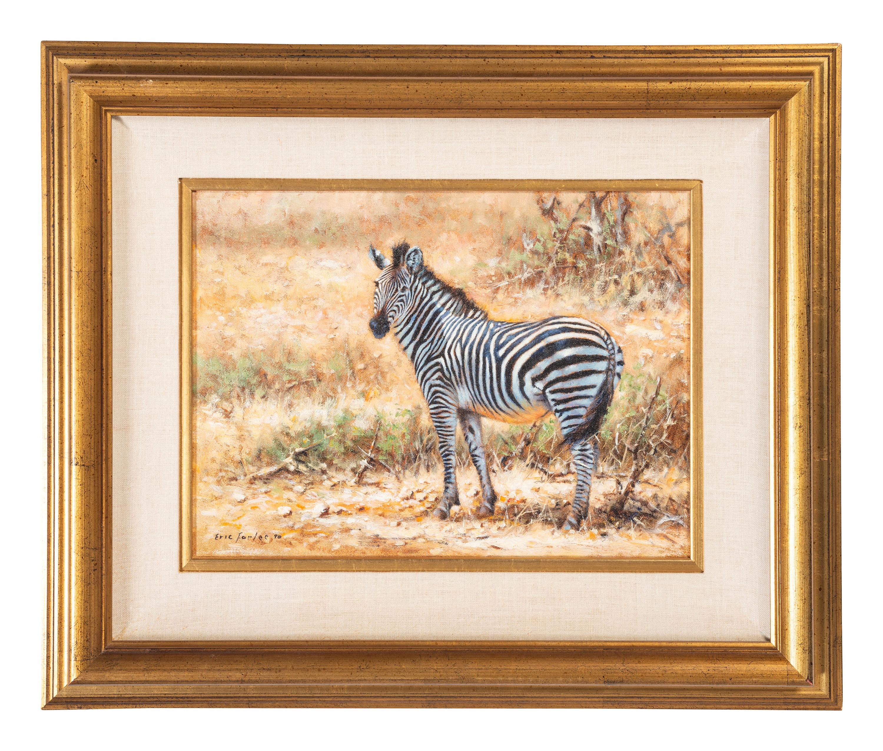 Zebra