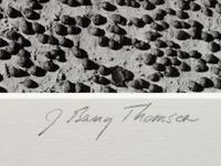 A group of four photographs ( Moqui Marbles, Arizona; Sumacs in Snow, North Conway, New Hampshire; Desert Trumpet in Snow, Utah; Untitled - Snow Covered Trees on Hillside )