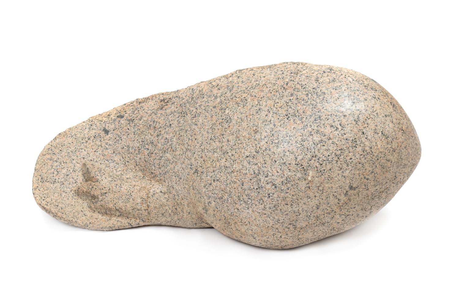 Tadpole , 1965