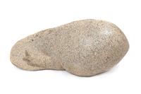 Tadpole , 1965