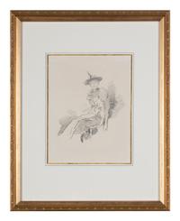 The Winged Hat