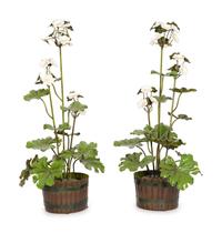 A Pair of Potted Tole Peinte Geraniums
