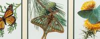Flying in Harmony , Triptych